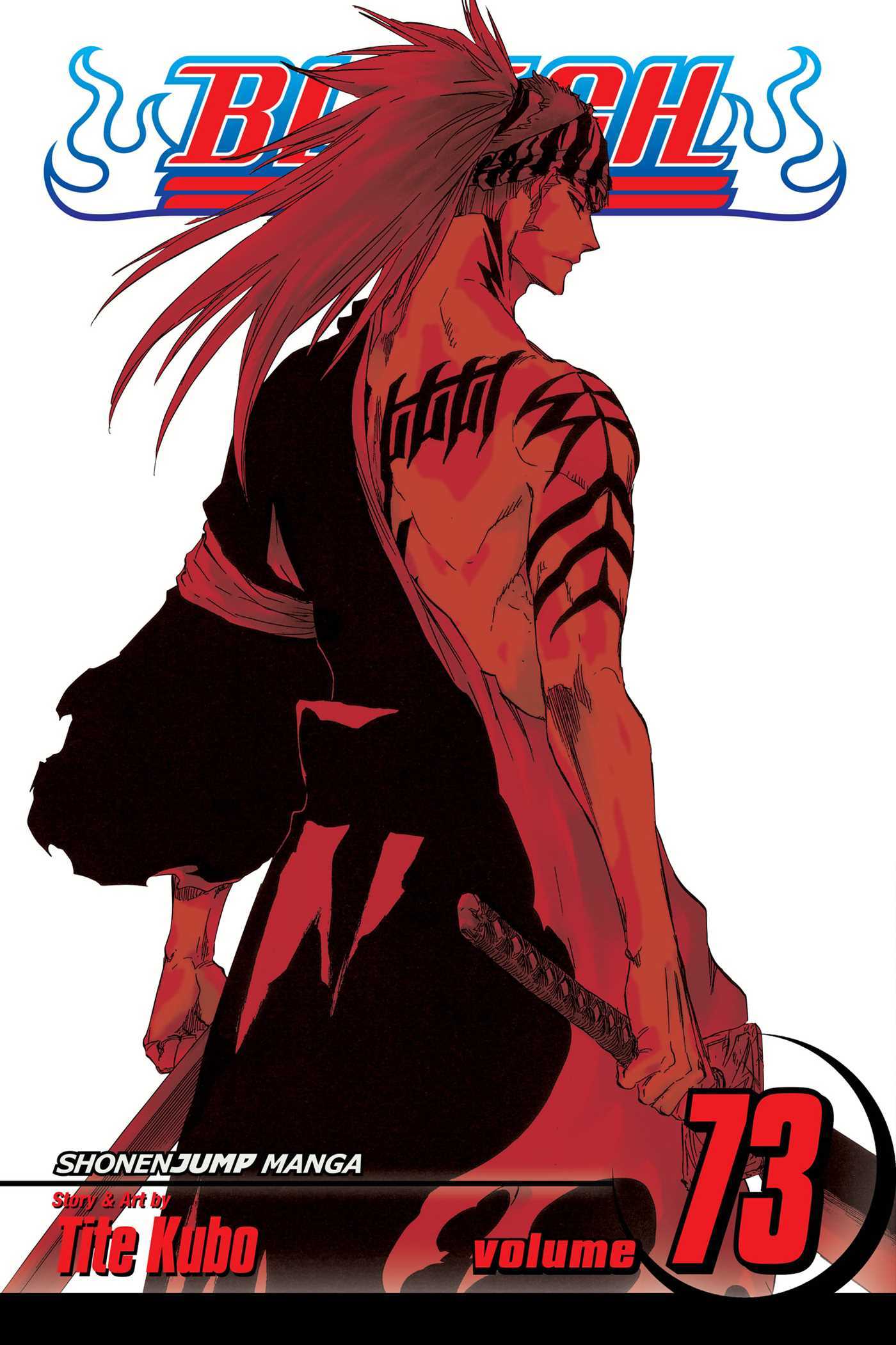 Bleach, Volume 73 book cover