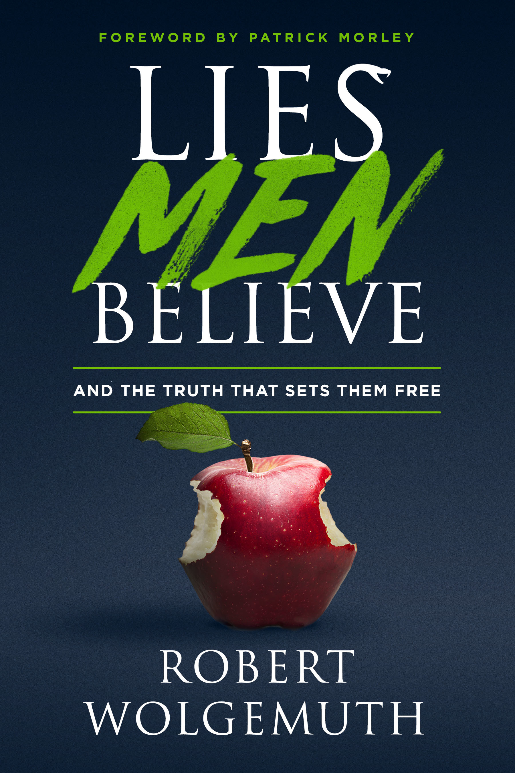 Lies Men Believe book cover