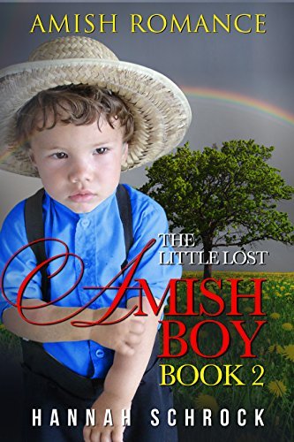 The Little Lost Amish Boy Book 2 book cover