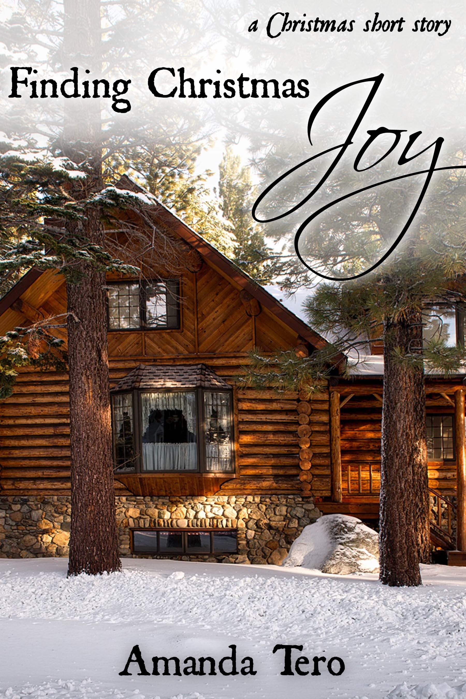 Finding Christmas Joy book cover