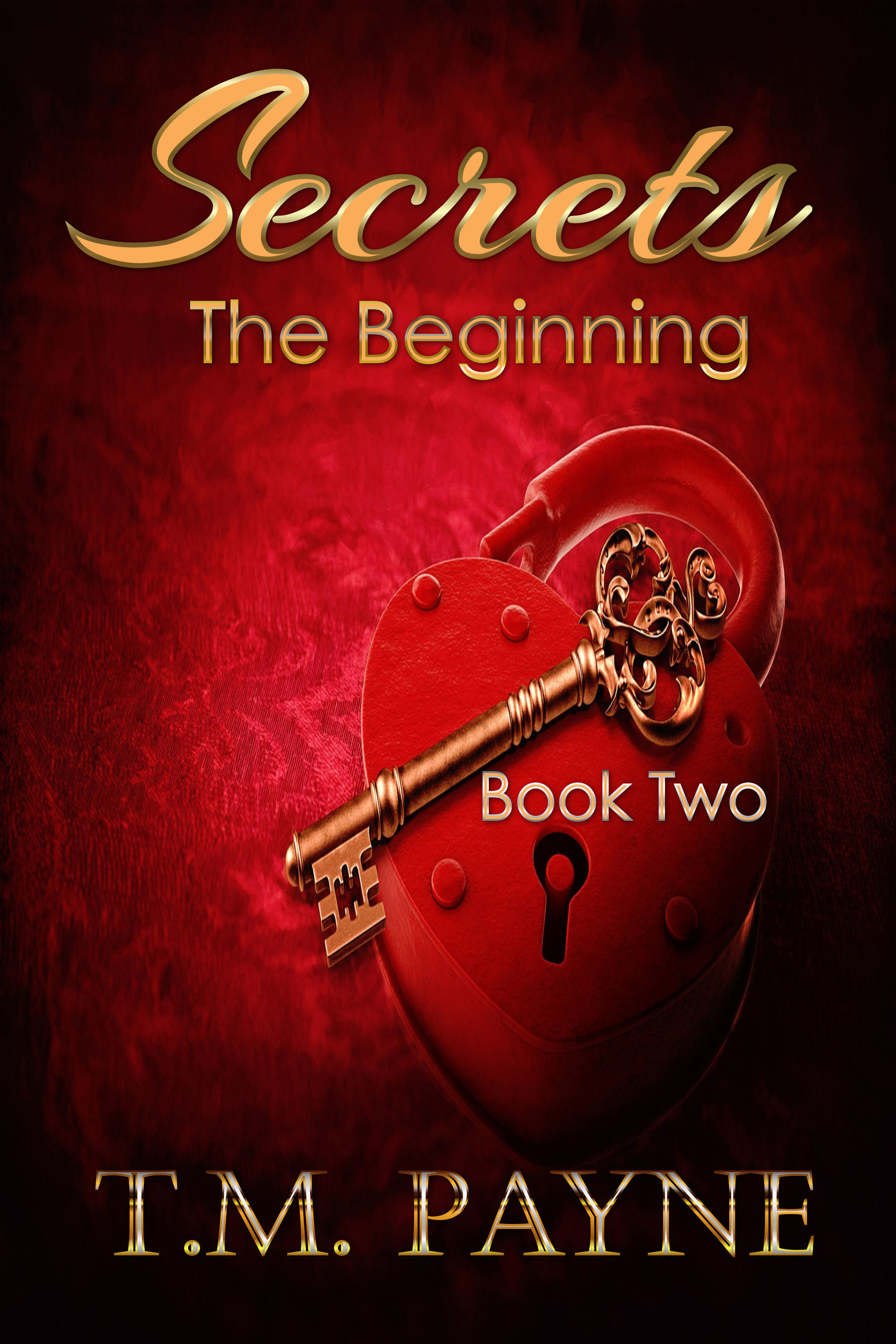Secrets book cover 2