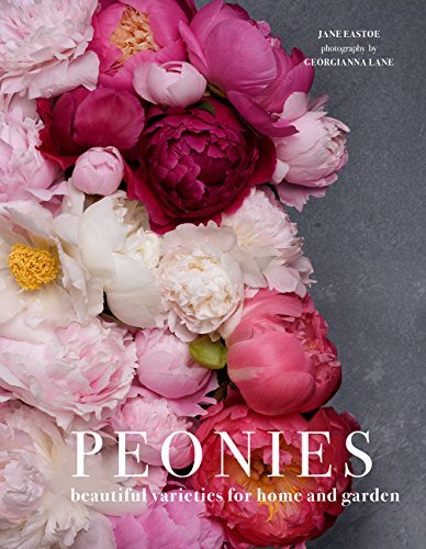 Peonies