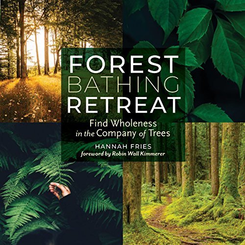 Forest Bathing Retreat Find Wholeness in the Company of Trees by