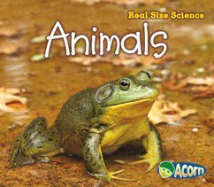 Animals book cover