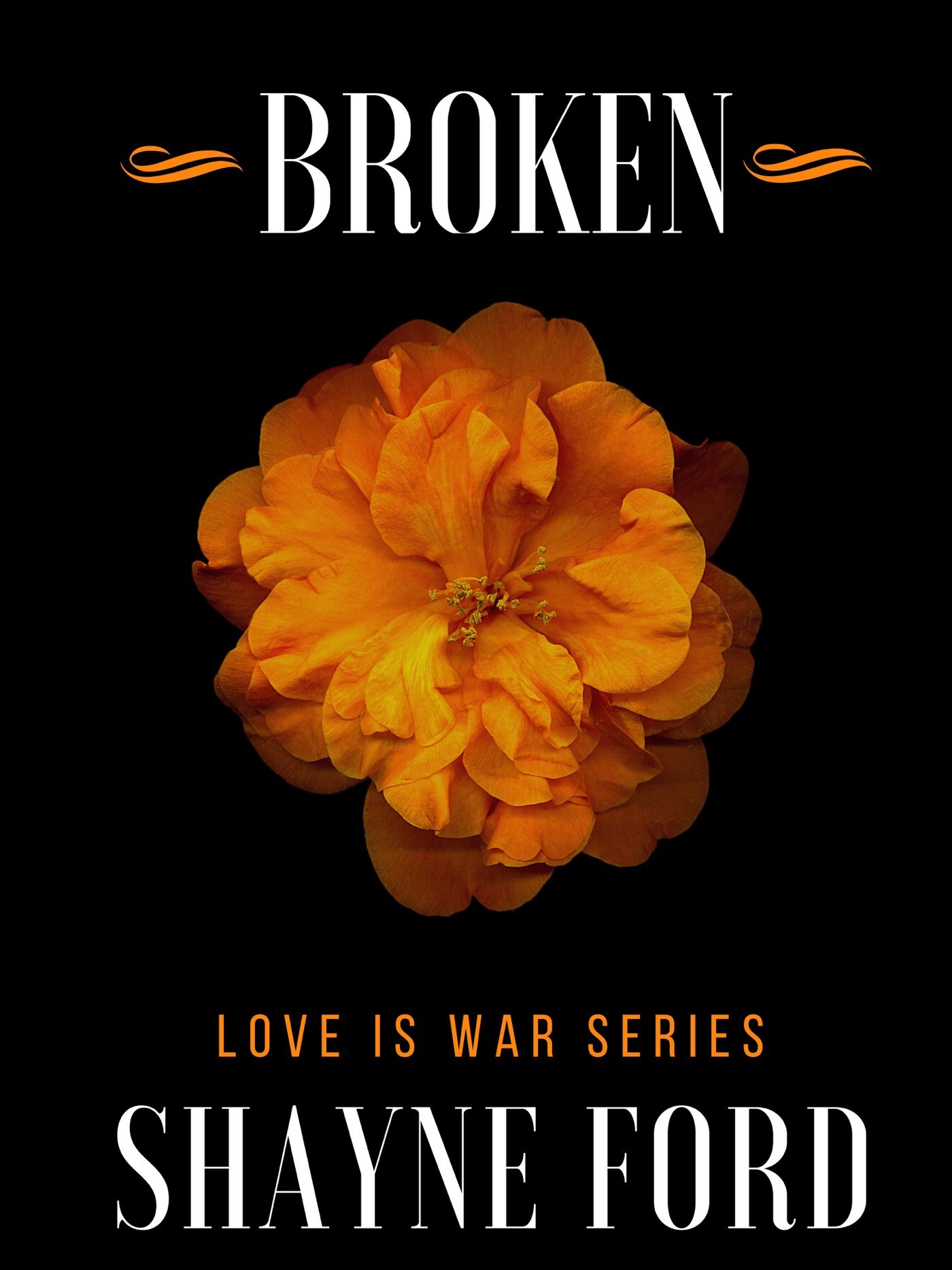 Broken book cover