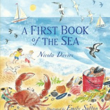 A First Book of the Sea book cover