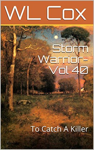 Storm Warrior-Vol 40 book cover