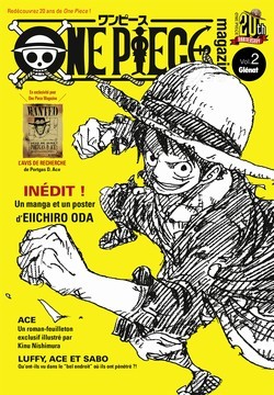 One Piece Magazine book cover 2