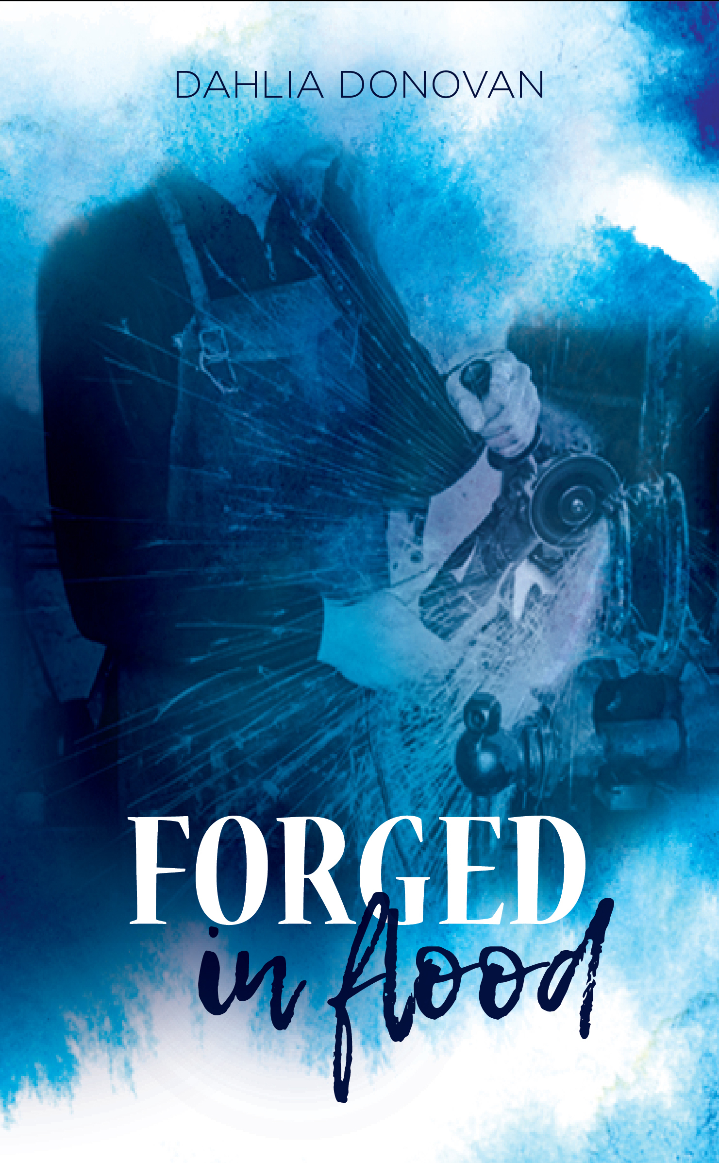 Forged in Flood book cover