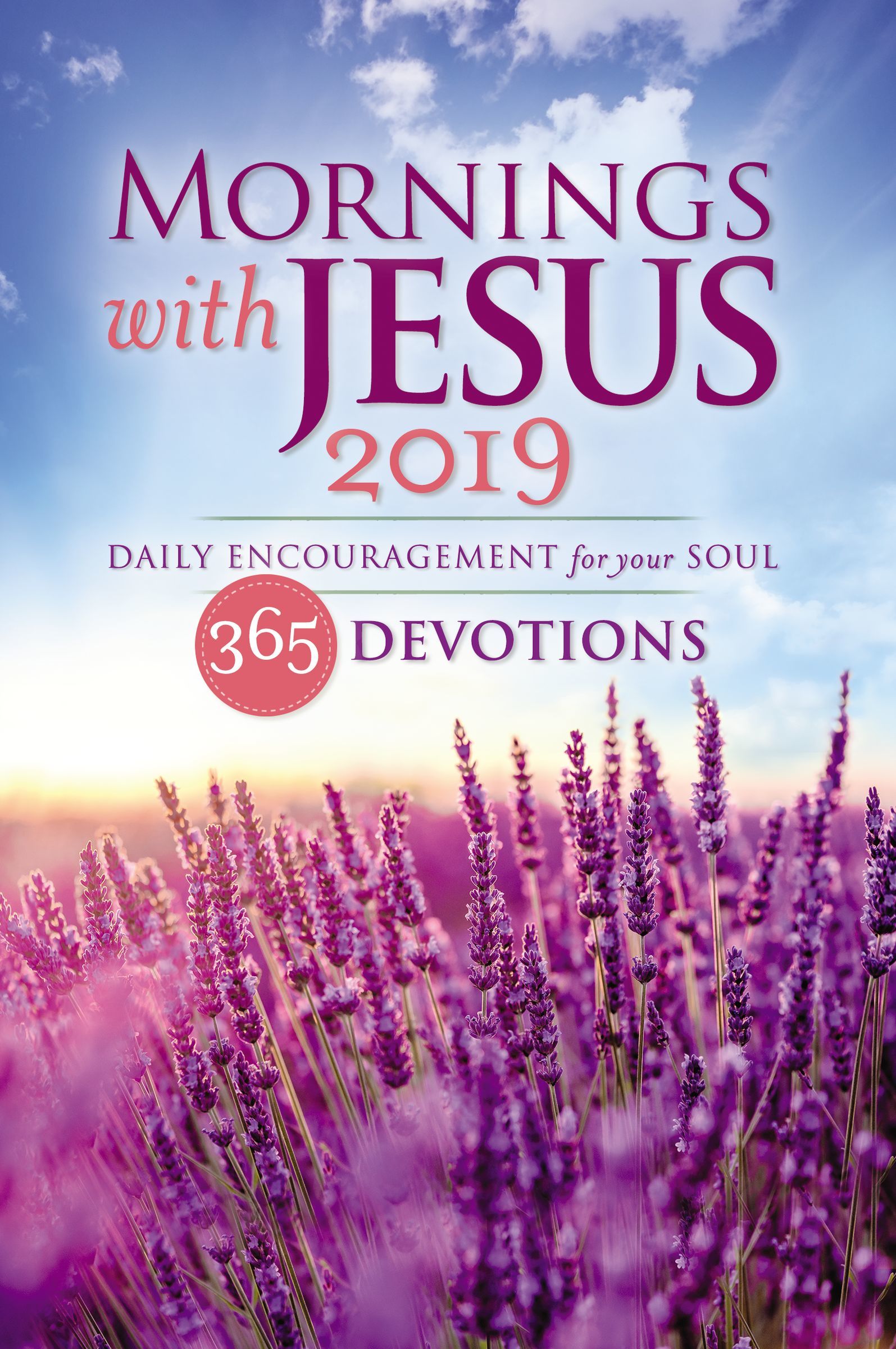 Mornings with Jesus 2019 book cover