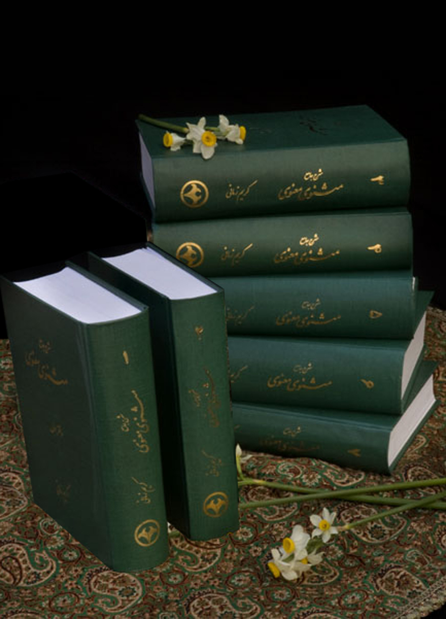 شرح جامع مثنوی معنوی book cover