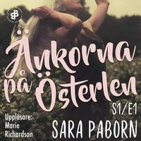 Änkorna på Österlen