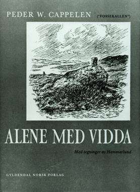 Alene med vidda