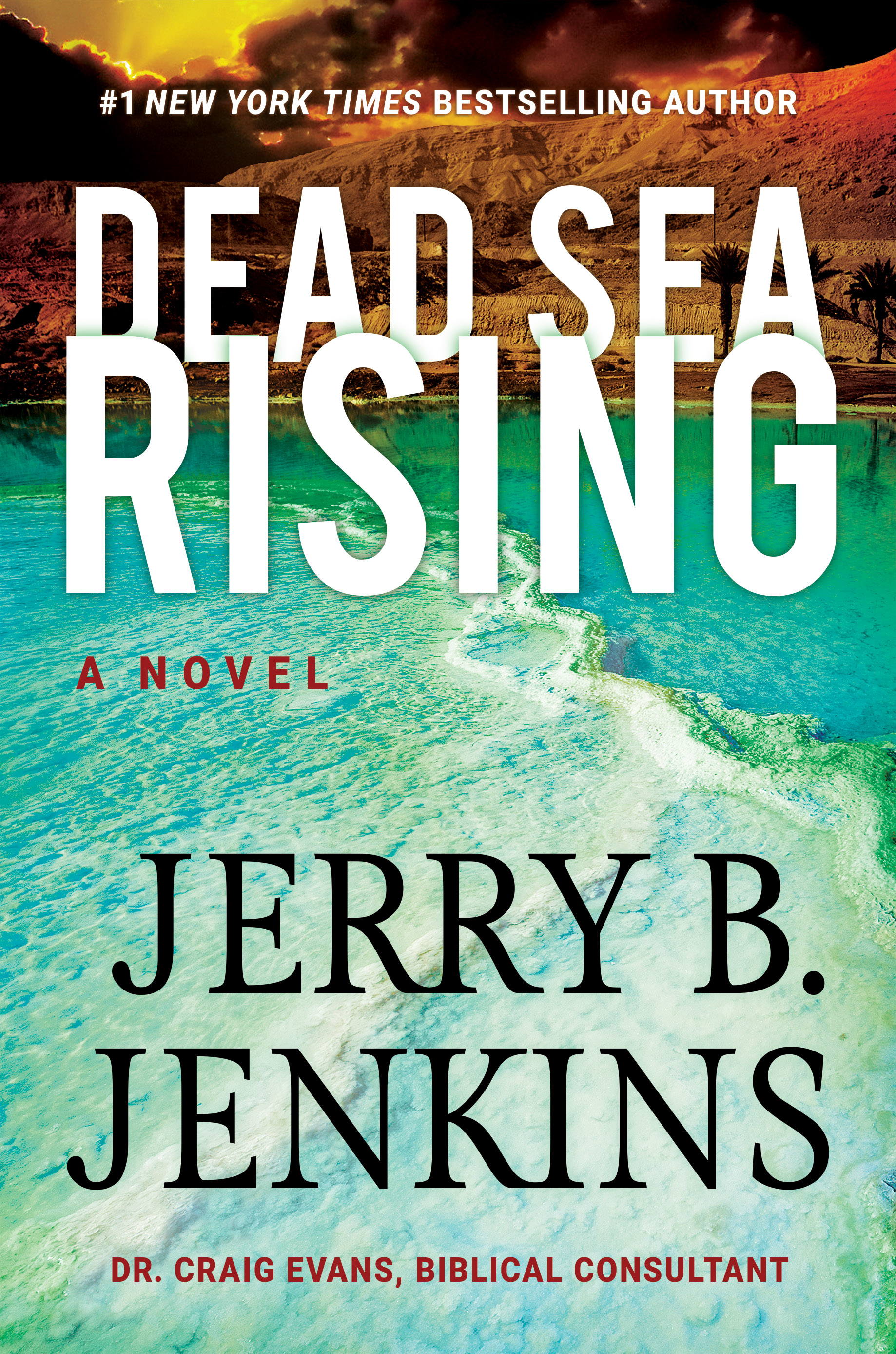 Dead Sea Chronicles book cover 1