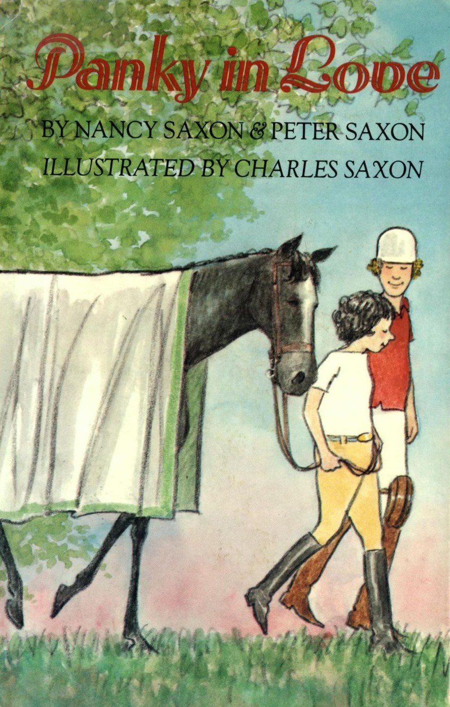 Panky in Love book cover