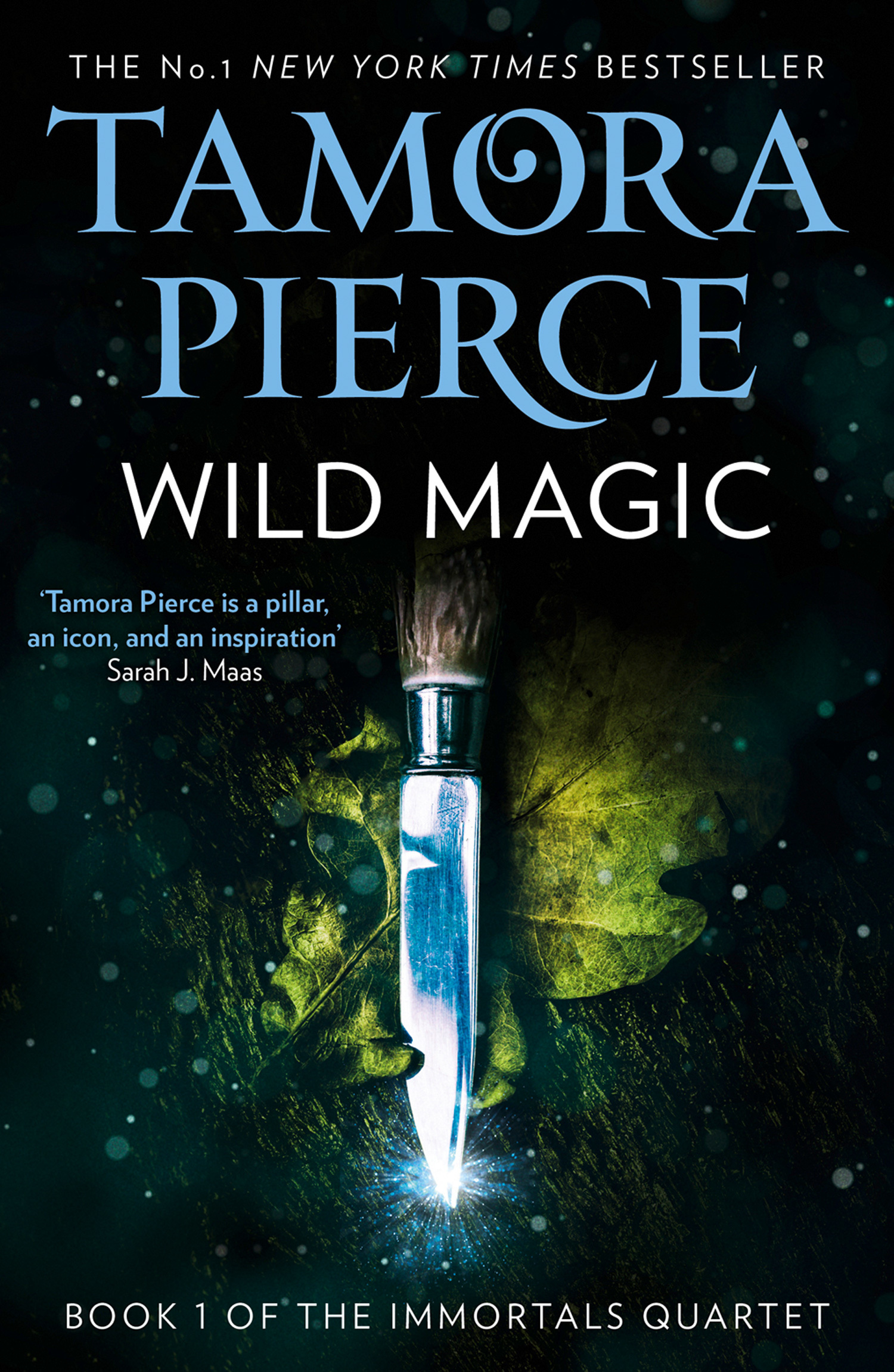 Wild Magic (The Immortals, #1)