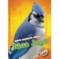 North American Animals book cover 1