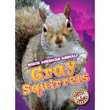 Gray Squirrels book cover
