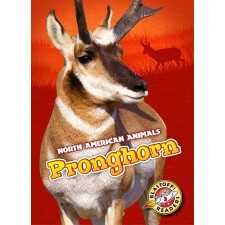 Pronghorn book cover