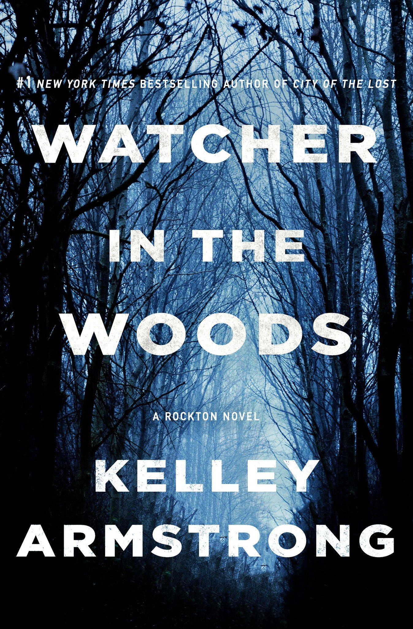 Watcher in the Woods (Casey Duncan, #4)