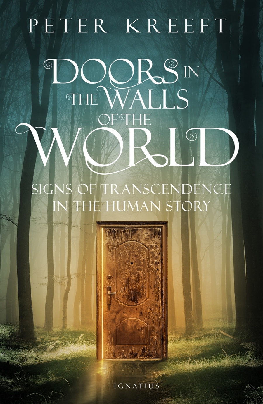 Doors in the Walls of the World book cover
