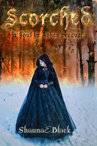 Soul In Ashes book cover 1