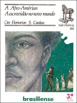 A Afro-América book cover