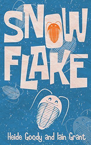 Snowflake book cover