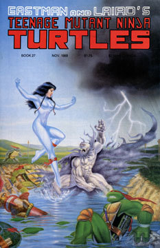 Eastman and Laird's Teenage Mutant Ninja Turtles Vol.1 #27 book cover