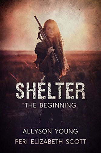 Shelter book cover 1