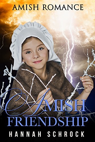 Amish Friendship book cover