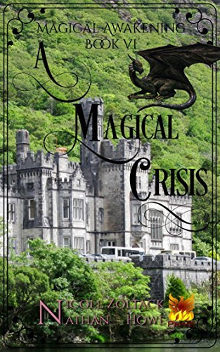 A Magical Crisis book cover