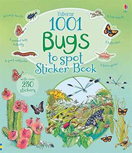 Usborne 1001 Things to Spot book cover 1