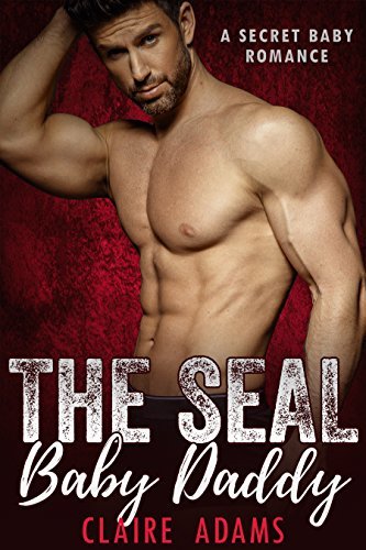 SEAL Baby Daddy book cover