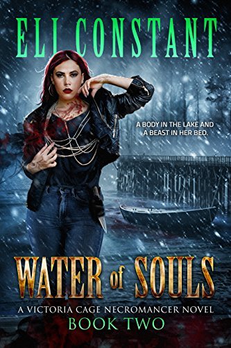 Water of Souls book cover