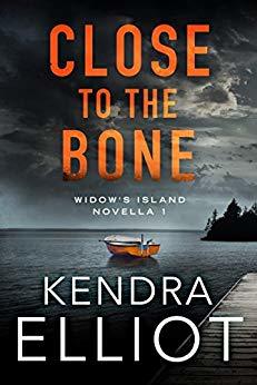 Widow's Island book cover 1