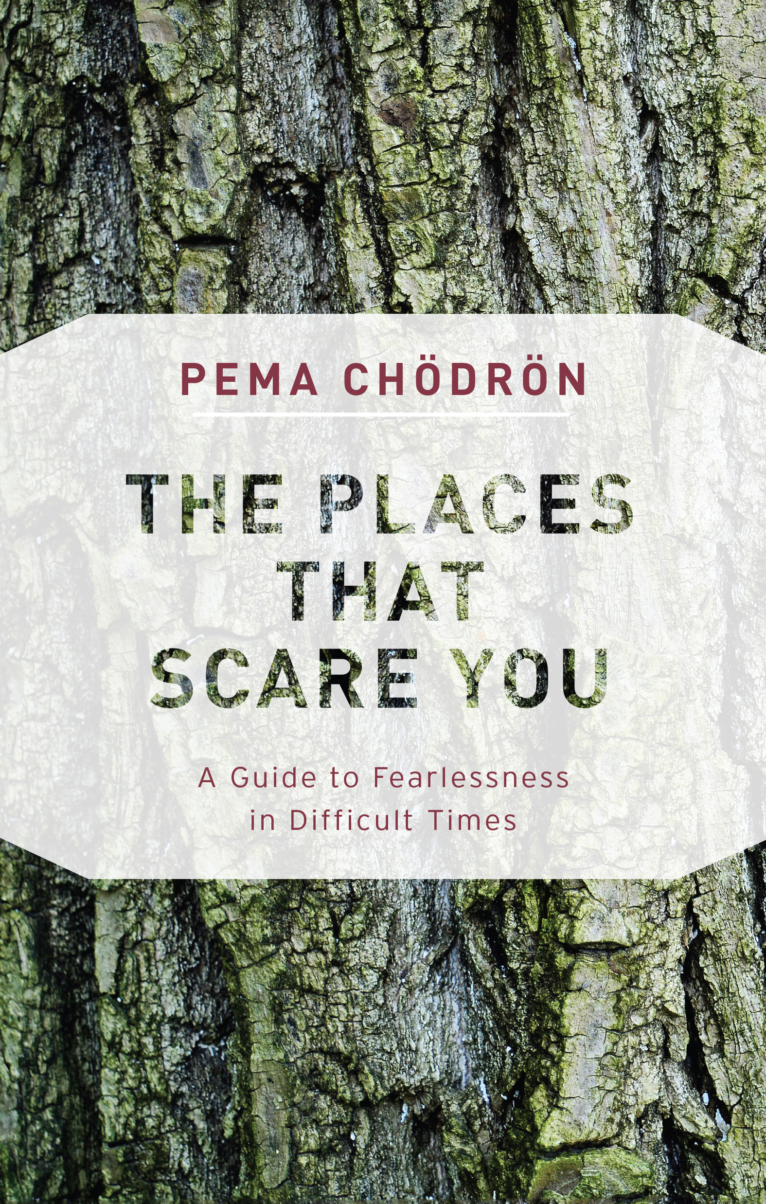 The Places That Scare You: A Guide to Fearlessness in Difficult Times