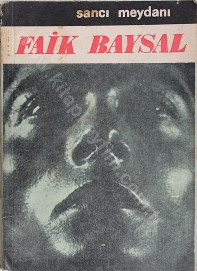 Sancı Meydanı book cover