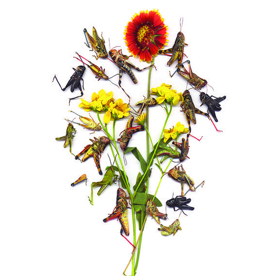 Your Impossible Voice #7 book cover