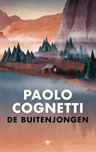 The Wild Boy book cover