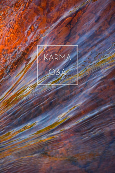 Karma Q & A: A Study Guide