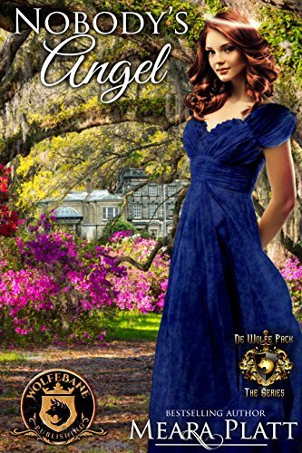 Nobody's Angel: De Wolfe Pack Connected World