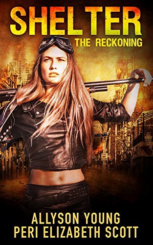 Shelter book cover 2