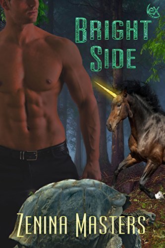 Bright Side book cover