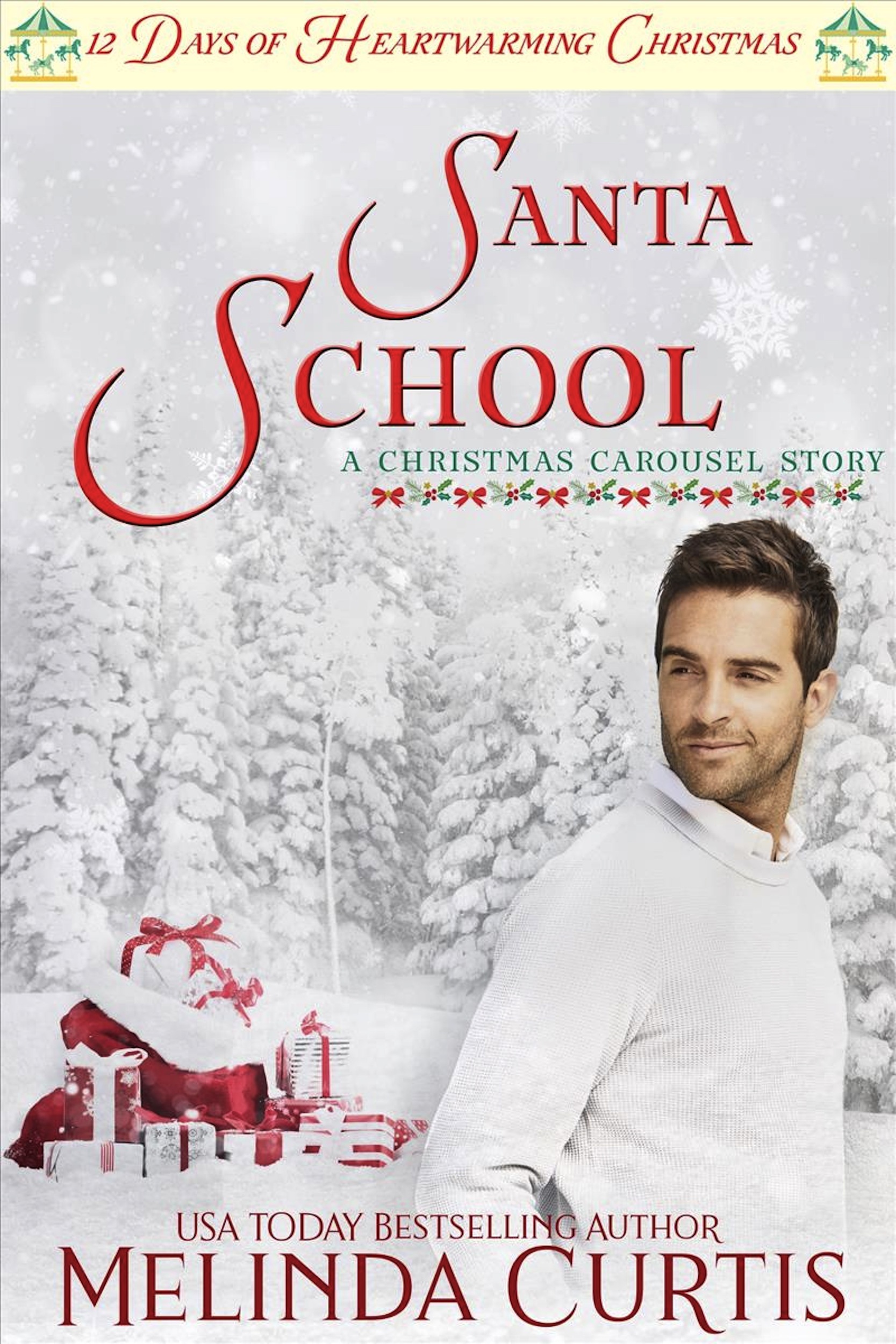 Santa School book cover