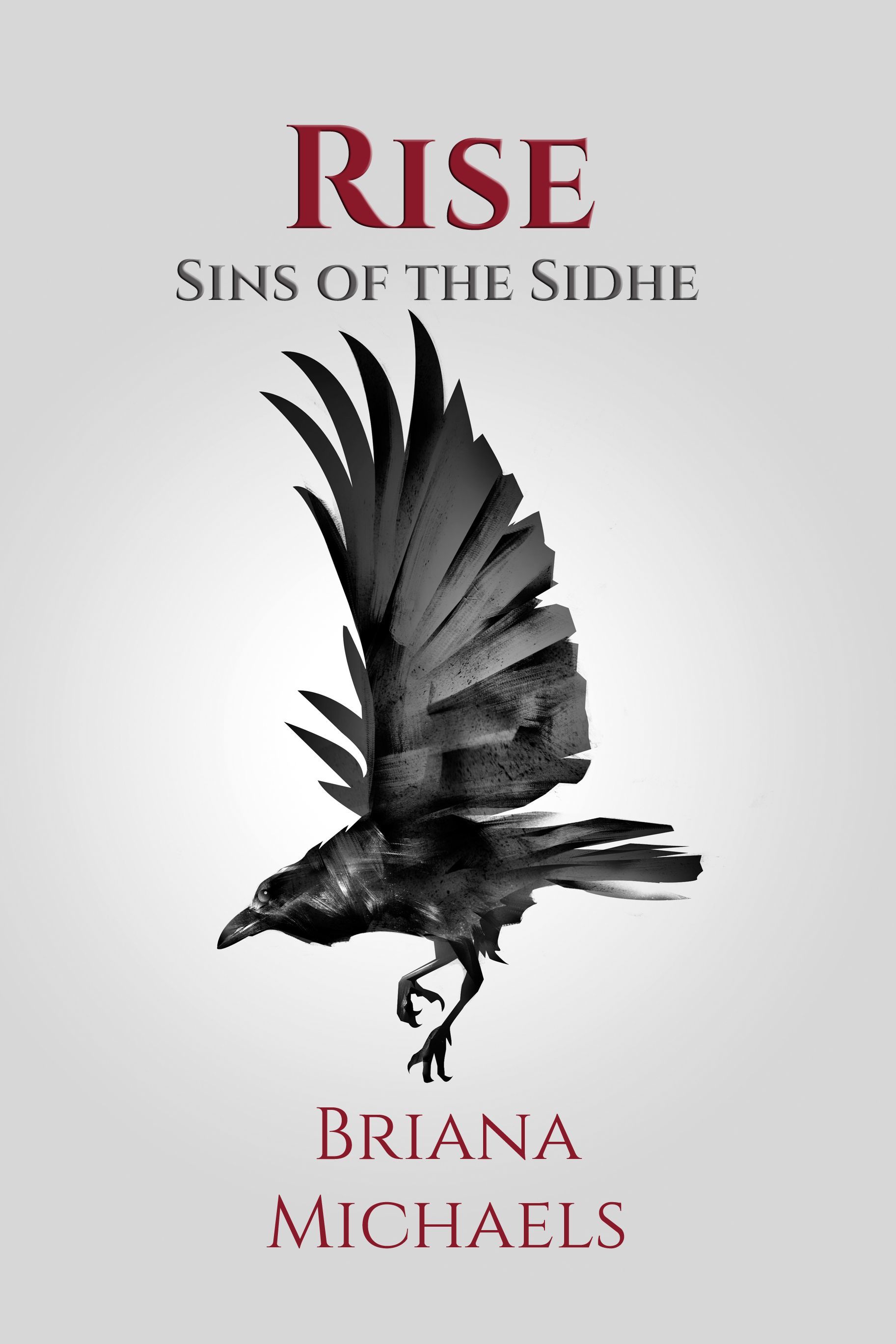 Rise book cover