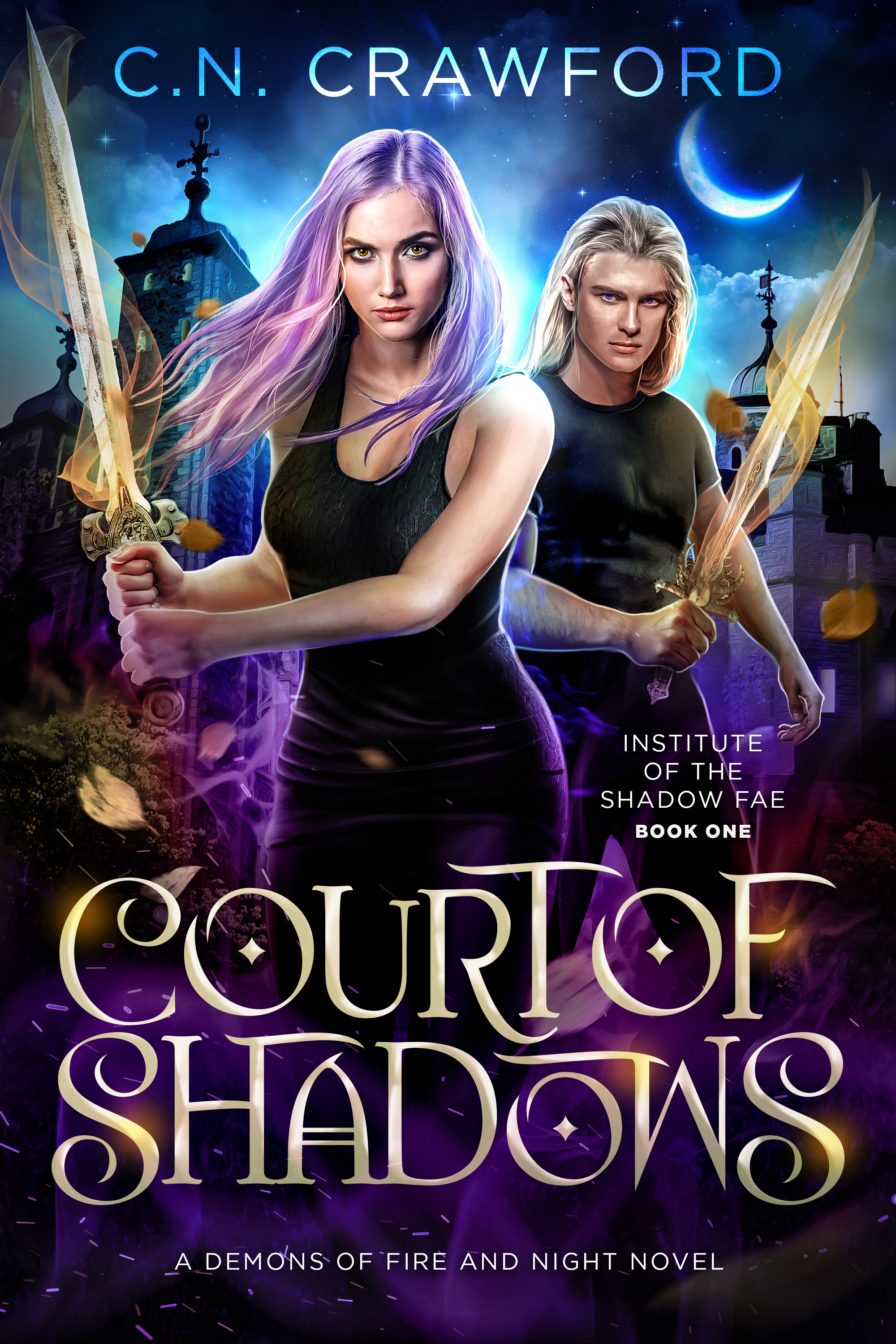 Court of Shadows (Institute of the Shadow Fae, #1)