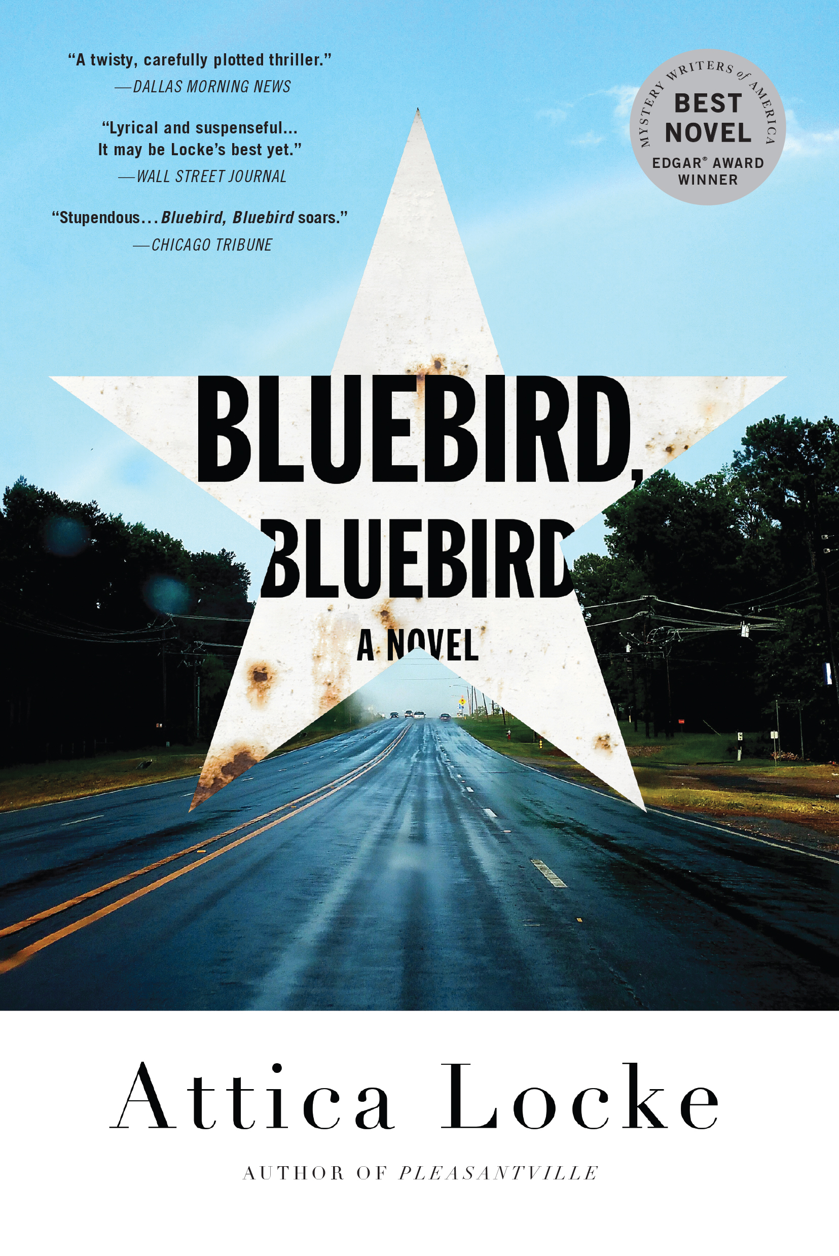 Bluebird, Bluebird (Highway 59, #1)