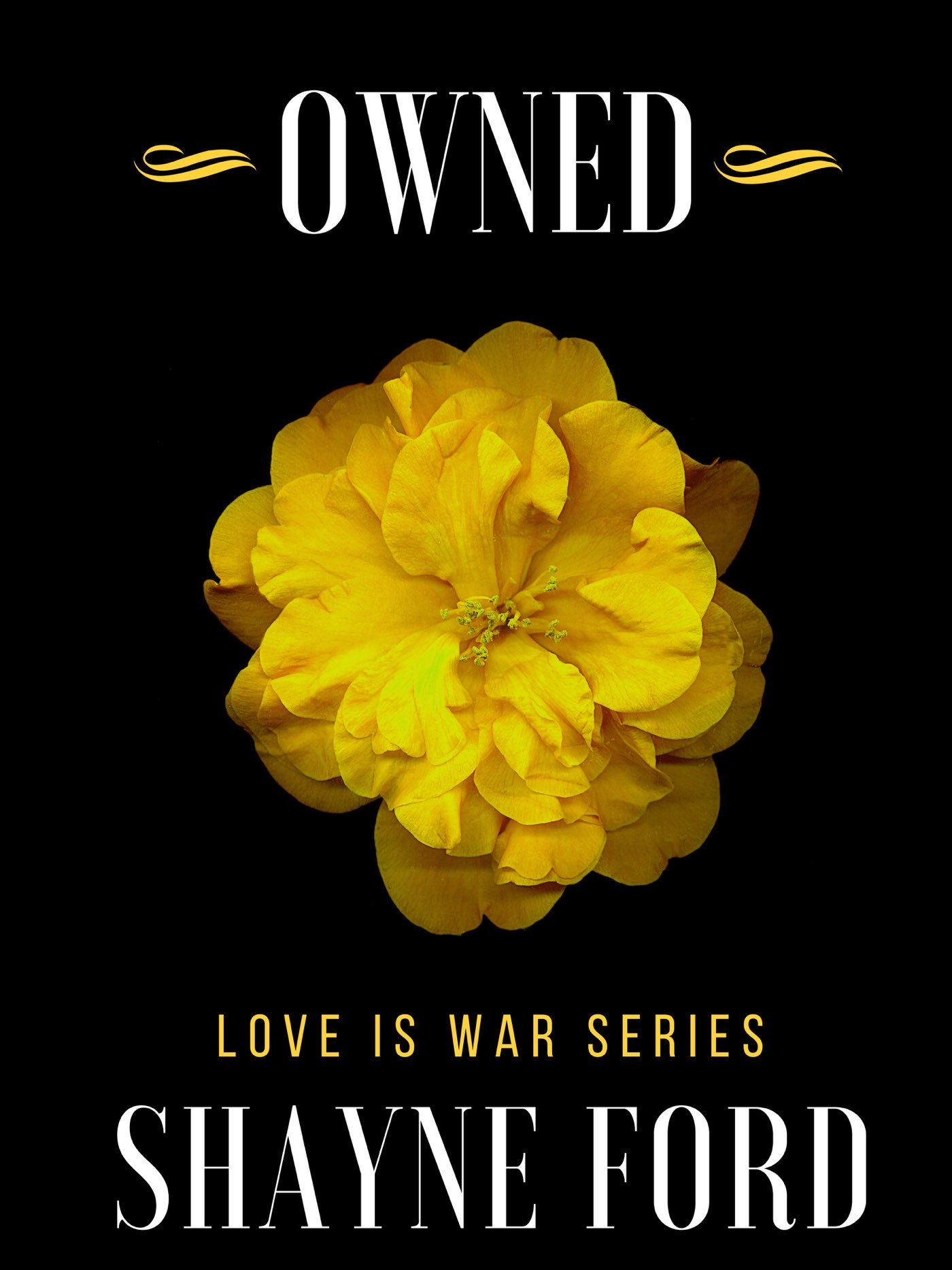 Owned book cover