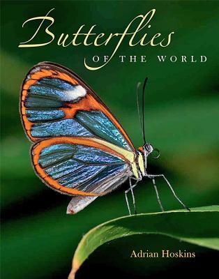 洋書 Adrian Hoskins 1,000 Butterflies Butterflies of the World by Adrian Hoskins | Goodreads